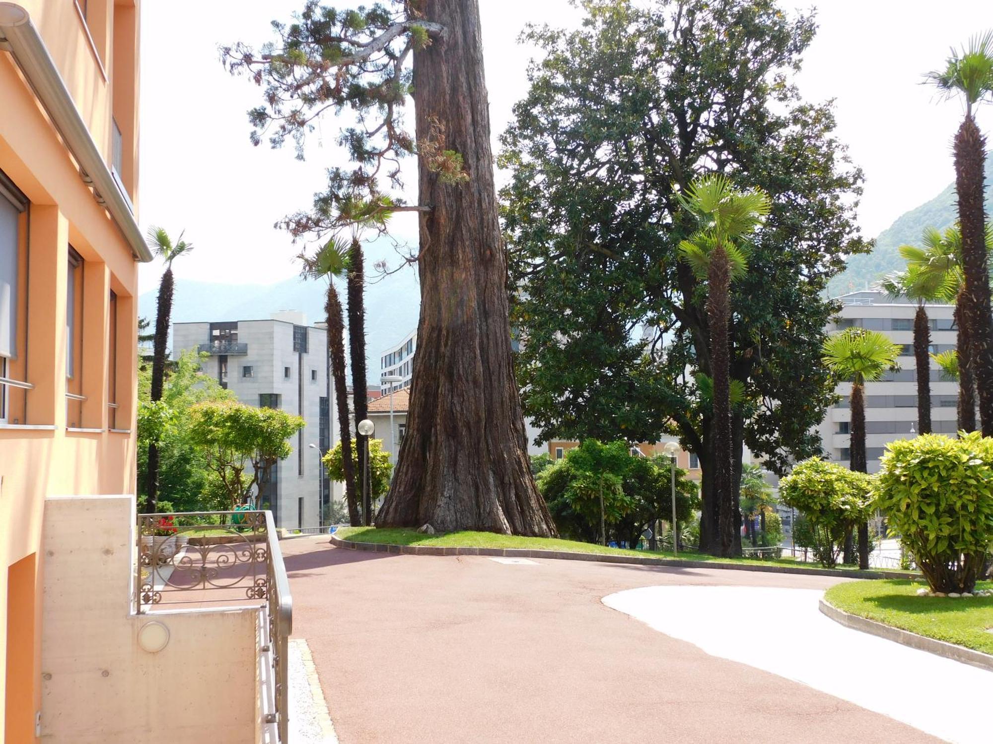 Hotel Casa Santa Birgitta Lugano Esterno foto