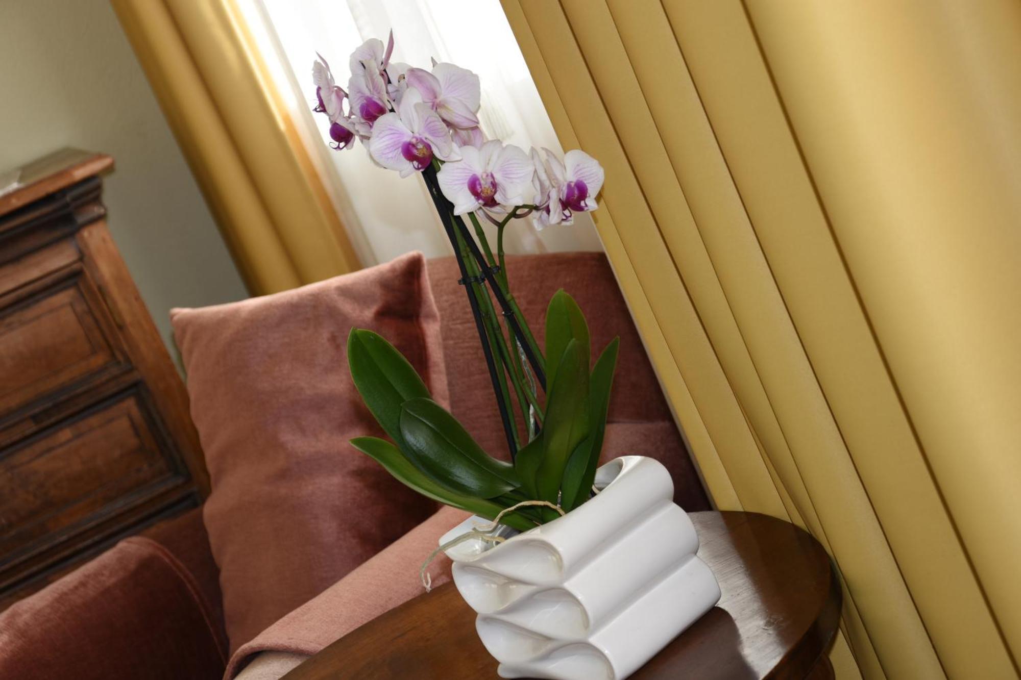 Hotel Casa Santa Birgitta Lugano Esterno foto