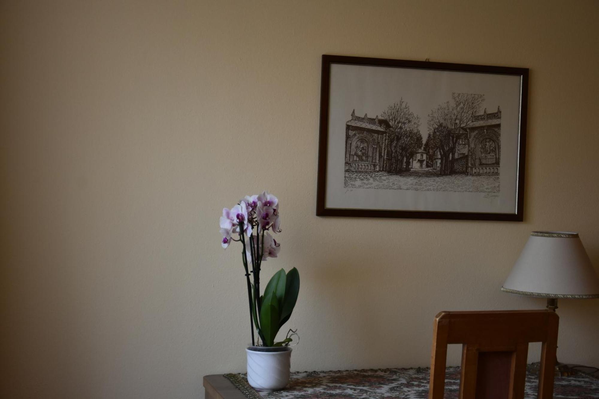 Hotel Casa Santa Birgitta Lugano Esterno foto